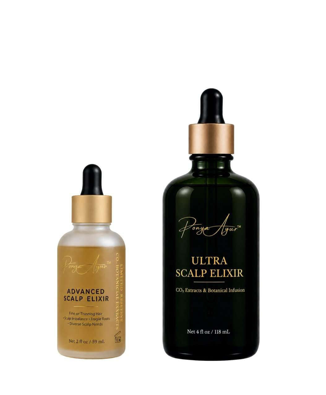 Essential Bundle